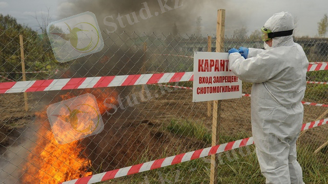 http://img2.ntv.ru/home/news/20130713/ka.jpg