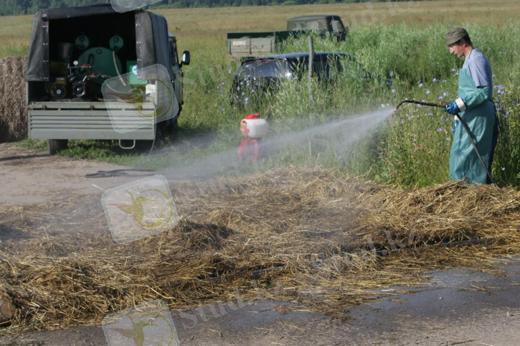 http://mk.tula.ru/upload/iblock/535/karantin_chuma-sviney2.jpg
