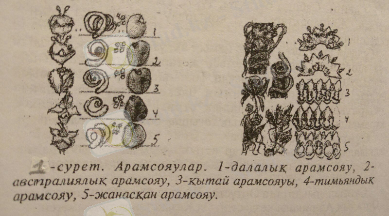C:\Users\Администратор\Desktop\2014-2015\IMG-20160228-WA0001.jpg