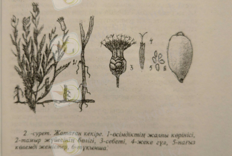 C:\Users\Администратор\Desktop\2014-2015\IMG-20160228-WA0002.jpg