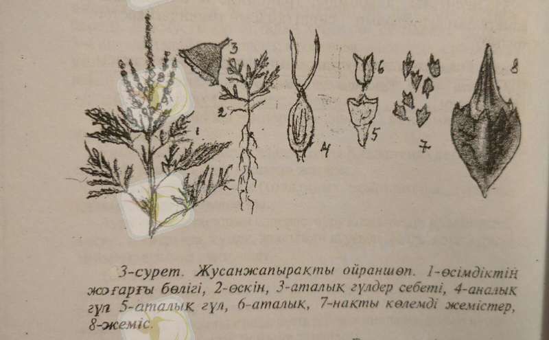C:\Users\Администратор\Desktop\2014-2015\IMG-20160228-WA0000.jpg