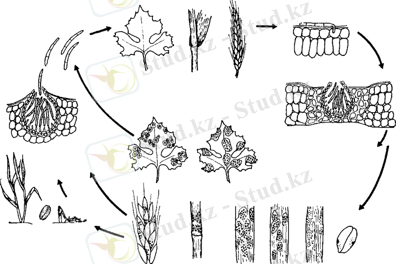 C:\Users\админ\Downloads\209991_html_m26ba2bfd.png