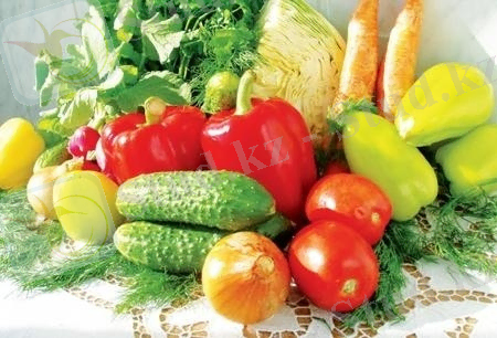 http://www.kerekinfo.kz/uploads/images/00/09/34/2011/12/27/943874.jpg