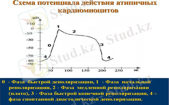 C:\Users\admin\Desktop\image006.jpg