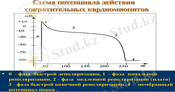 C:\Users\admin\Desktop\image004.jpg