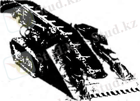 C:\Users\Асема\Desktop\media\image3.jpeg