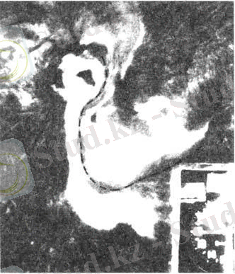 1119918-171.jpg