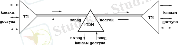 ris3_7
