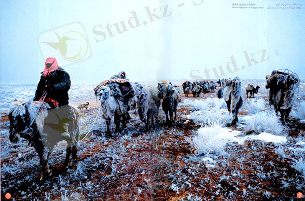 http://serke.org/sites/default/files/2_454.jpg