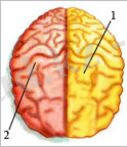 http://itest.kz/upload/images/1350618313.66.jpeg.png