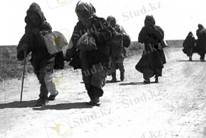 https://turkystan.kz/content/uploads/2015/05/article_090412_01-900x_.jpg?token=a290a03fa4f6453372fc8f524e415aad