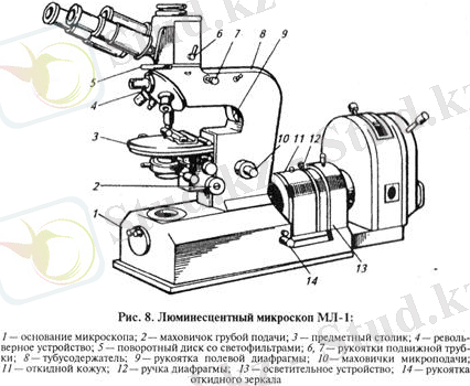 http://ok-t.ru/mylektsiiru/baza4/800175157806.files/image014.jpg
