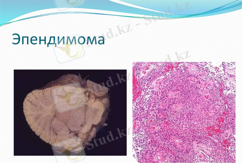 slide-15.jpg