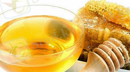 http://massaget.kz/userdata/news/news_2846/thumb_b/photo.jpg