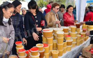 http://mongolianislam.mn/kz/wp-content/uploads/2014/01/5.jpg