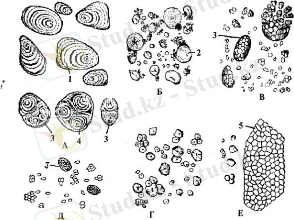 http://s019.radikal.ru/i612/1401/80/65d99366e199.jpg