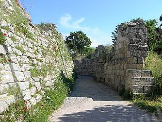 http://upload.wikimedia.org/wikipedia/commons/thumb/d/d7/Troy1.jpg/334px-Troy1.jpg