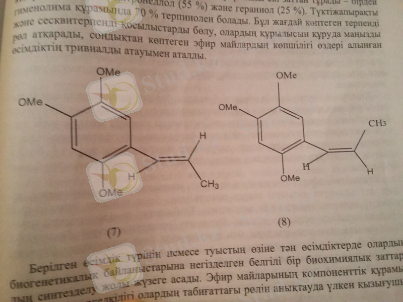 20160130_173153.jpg