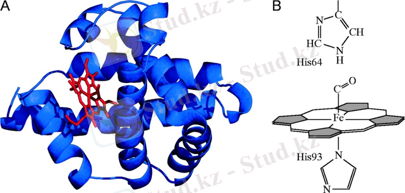 C:\Users\Nurgisa\Desktop\F3.large.jpg