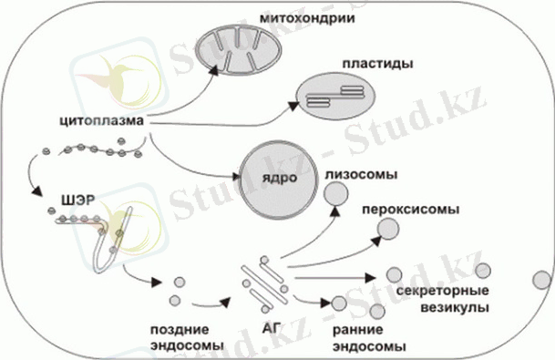 https://kor.ill.in.ua/m/610x0/1693593.jpg?v=635797435412326191
