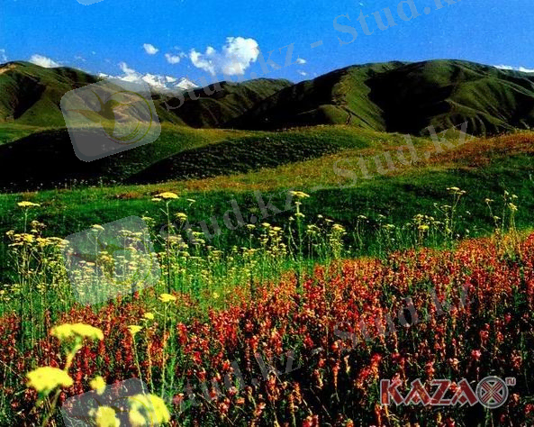 http://www.bal-ara.kz/images/stories/far.jpg