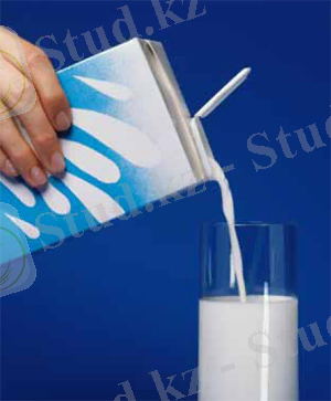 4_med.jpg