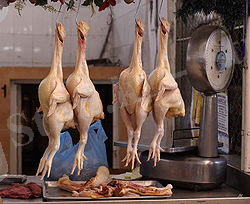 https://upload.wikimedia.org/wikipedia/commons/thumb/5/57/Chickens_in_market.jpg/250px-Chickens_in_market.jpg
