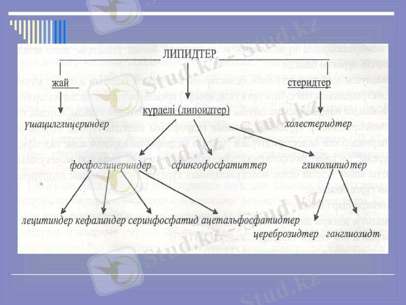 https://cf.ppt-online.org/files/slide/x/x1LYt7jQFMZveGIsSfKndPXwkyo94mEzTr6p05/slide-5.jpg