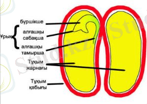 http://old.itest.kz/upload/images/1349666992.58.jpeg.png