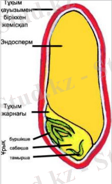 http://old.itest.kz/upload/images/1349667117.63.jpeg.png