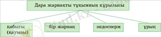 http://old.itest.kz/upload/images/1349667173.28.jpeg.png