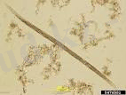 http://t2.gstatic.com/images?q=tbn:ANd9GcRDgq36sqAVXd_Diu57BKM9WfyGmvGTaIkBFhdPrWnJpO_1IauTPRyJKYM