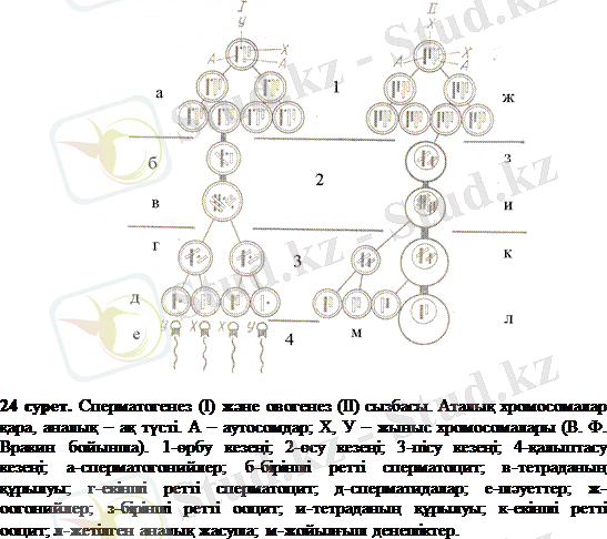 http://ebooks.semgu.kz/ebook/7/images/1166/783/clip_image002.gif