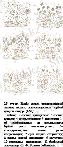 http://ebooks.semgu.kz/ebook/7/images/1166/783/clip_image004.gif