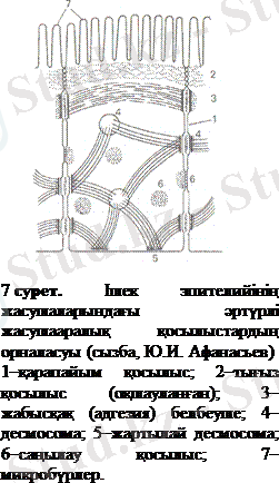 http://ebooks.semgu.kz/ebook/7/images/1165/770/clip_image004.gif