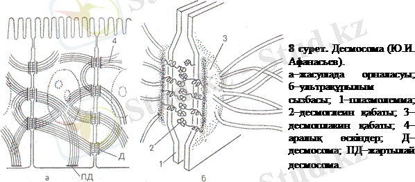http://ebooks.semgu.kz/ebook/7/images/1165/770/clip_image006.gif