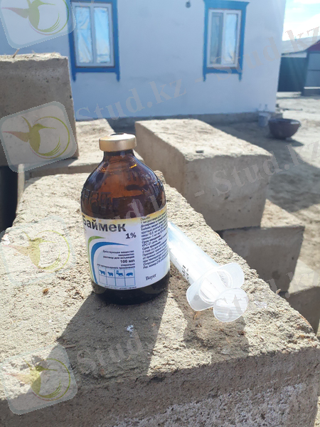 https://pp.userapi.com/c830209/v830209542/1cf584/aZbIfj5cdss.jpg