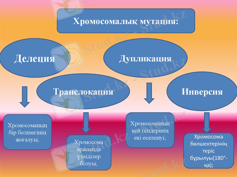 ÐÐ°ÑÑÐ¸Ð½ÐºÐ¸ Ð¿Ð¾ Ð·Ð°Ð¿ÑÐ¾ÑÑ ÑÑÐ¾Ð¼Ð¾ÑÐ¾Ð¼Ð°Ð»ÑÒ Ð¼ÑÑÐ°ÑÐ¸Ñ