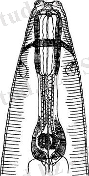 image147.jpg
