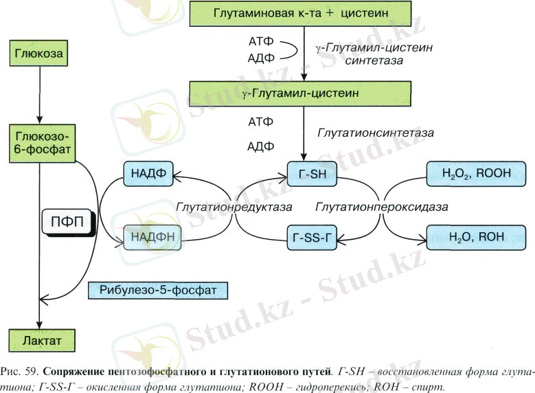 ÐÐ°ÑÑÐ¸Ð½ÐºÐ¸ Ð¿Ð¾ Ð·Ð°Ð¿ÑÐ¾ÑÑ ÑÐ½Ð·Ð¸Ð¼Ð¾Ð¿Ð°ÑÐ¸Ñ