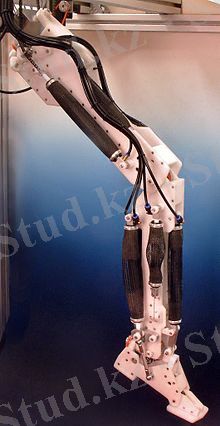 https://upload.wikimedia.org/wikipedia/commons/thumb/0/07/2005-11-14_ShadowLeg_Finished_medium.jpg/220px-2005-11-14_ShadowLeg_Finished_medium.jpg