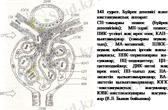 http://ebooks.semgu.kz/ebook/7/images/1181/915/clip_image002.gif
