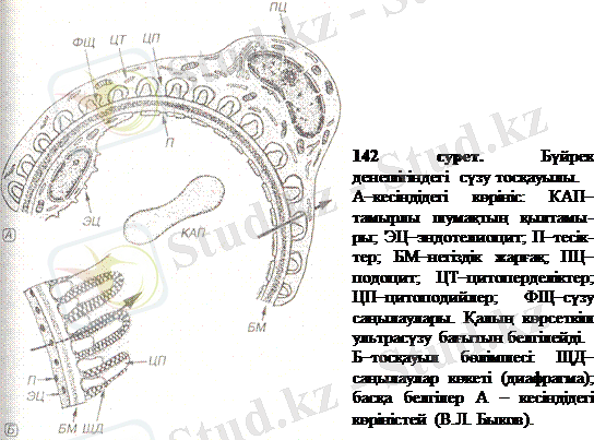 http://ebooks.semgu.kz/ebook/7/images/1181/915/clip_image004.gif