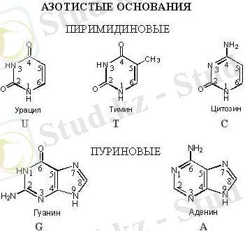 8c14c7370c212764c86d0c9c607b4177.JPG