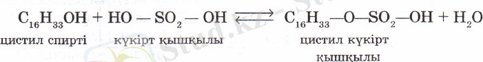 Chictil kukirt kysh.PNG
