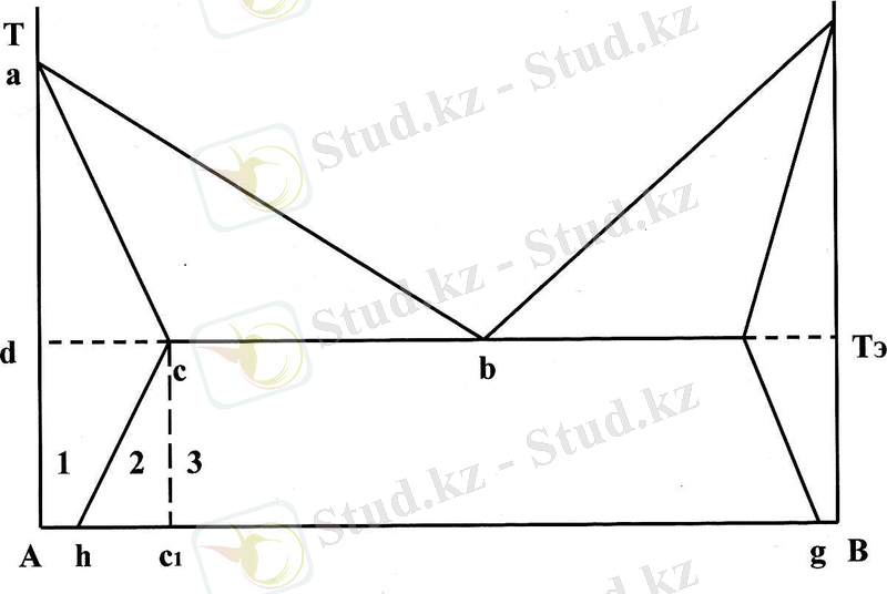 рис 16(с22)