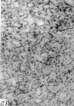 Рис 18