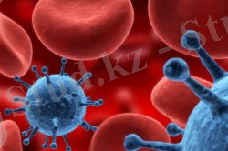 Virus-VICh-250x166.jpg