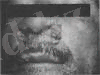 tmp60D1-37.jpg