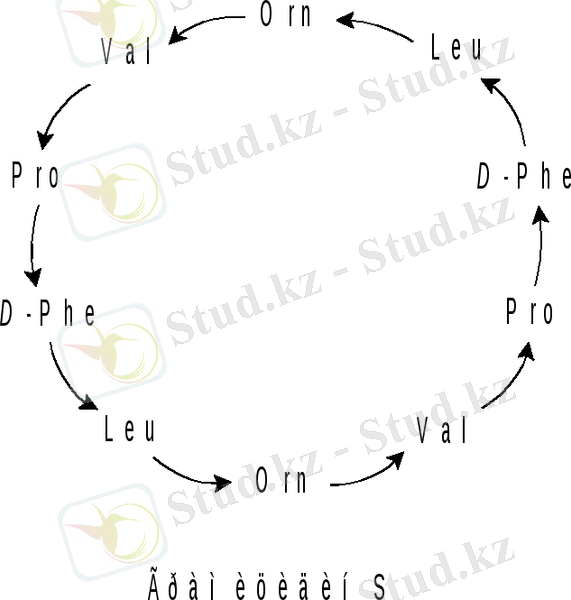 C:\Users\АНАРА\Downloads\1_html_m224a6657.gif